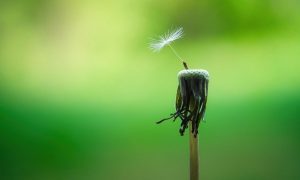 Read more about the article How to Find Your Next Job After Getting Laid Off